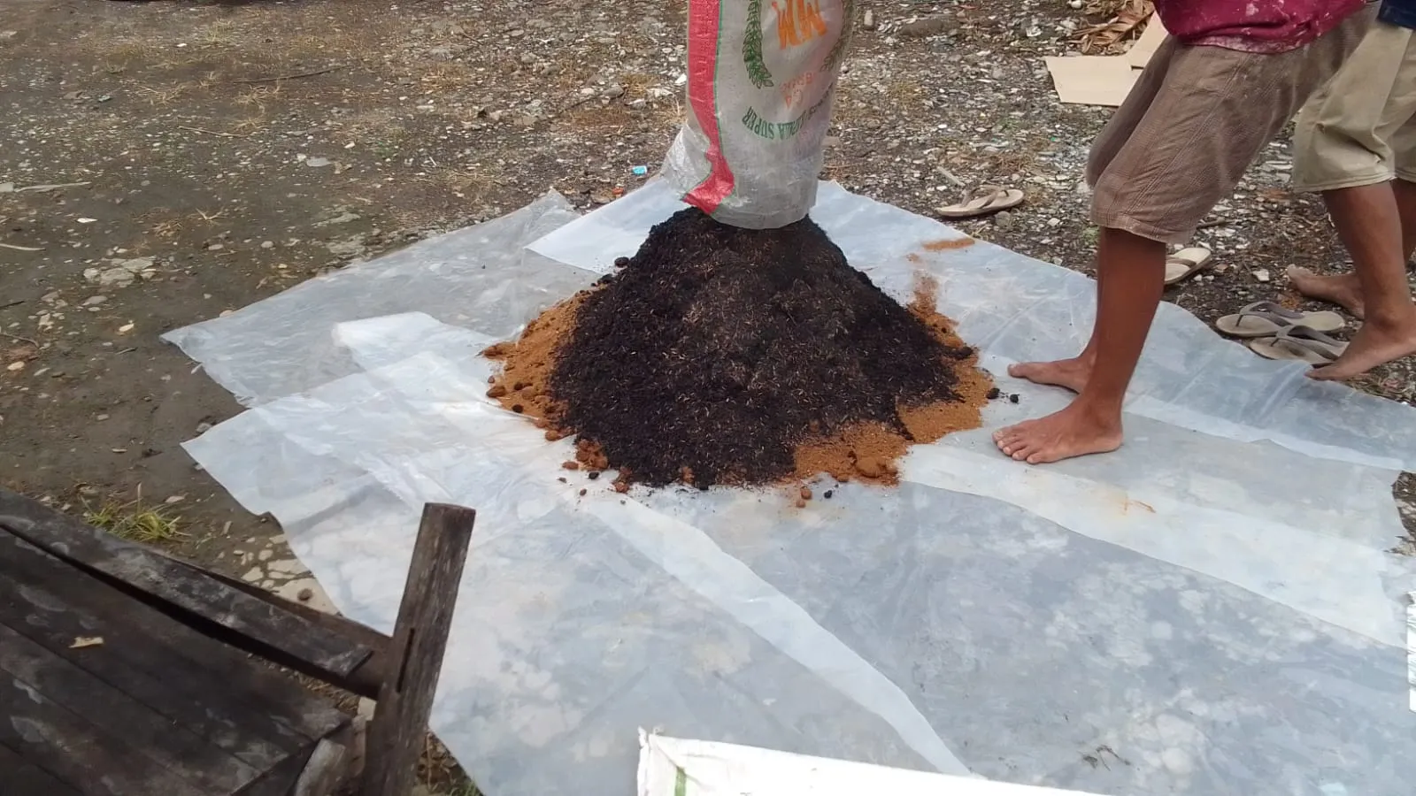 Dari Benih Jadi Buah: Greenhouse Hidroponik Karang Taruna Batursari Mulai Memasuki Masa Panen! - 2